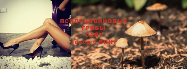 дурь Нефтегорск