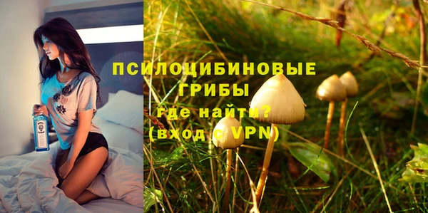 дурь Нефтегорск