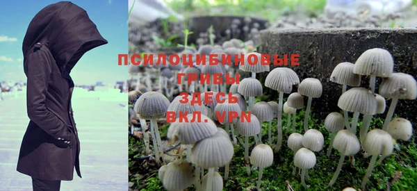 дурь Нефтегорск