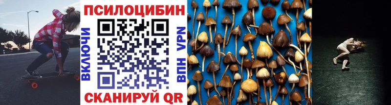 Купить  Соль-Илецк  Галлюциногенные грибы прущие грибы 